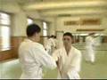 The World of Yoshinkan Aikido