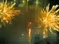 crazy firework in my garden crazy firework in my garden