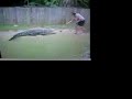 animal cruelty
