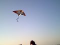 Kite flying