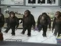 proof the irish discovered Africia [lepsze.net]