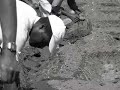 cabo verde ntoni denti d'ouro