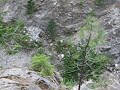 huge sheet of glass off bridge