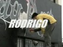 ZULO GRAFF