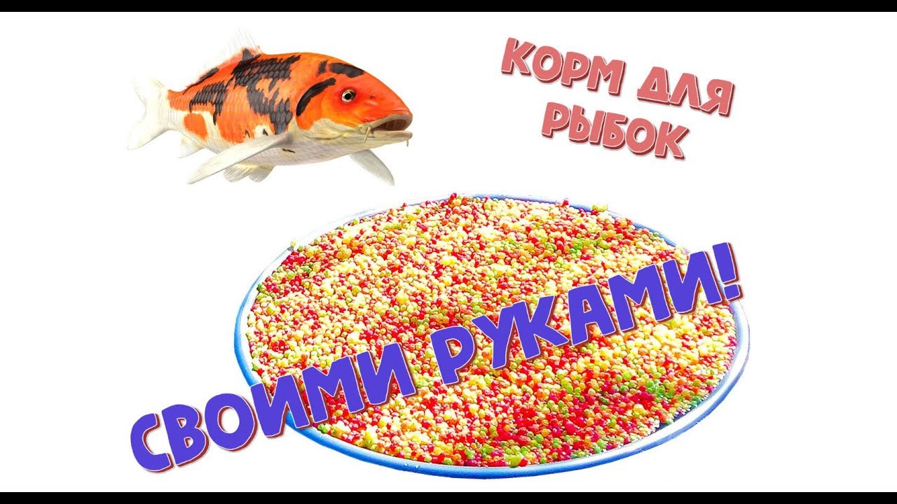 Супер корм для аквариумных рыбок, своими руками.