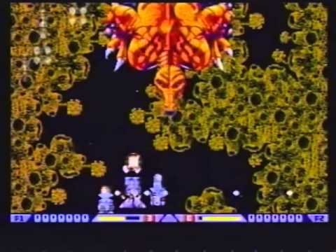 動画