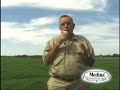 david davidson speaks about the success of the medina program on his turf farm.
