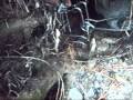 Redneck Park - How To Set Up A Muskrat Trap!