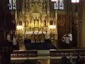 Tu Es Petrus Tu Es Petrus