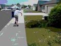 sidewalk surfing sidewalk surfing