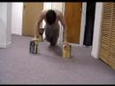 pkw body training 2008