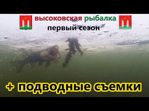 способы ловли щуки на жерлицу видео способы ловли щуки на жерлицу видео