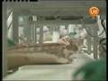 videos de Girardi se determinan responsables contaminaciòn con dioxina