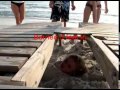 flordia-trip.html