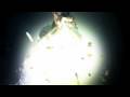 videos de Live Green & Free!
