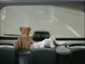 Blaupunkt - funny  advertisement