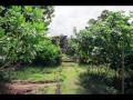 Craig and Terri's Pohnpei Adventure 2000