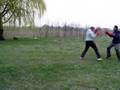 ploaie de pumni