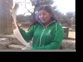 Tibetan Freedom Torch Launched in Ancient Olympia