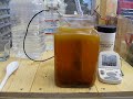 #08-067 Observational Electrolyte Test with Ferrous Sulfate #08-067 Observational Electrolyte Test with Ferrous Sulfate