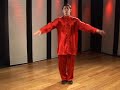 Kung Fu Jump Kicks Kung Fu Jump Kicks Jump Spinning Crescent Kick