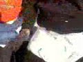 Thumbnail #3