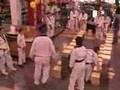 Taekwondo-Master-bre