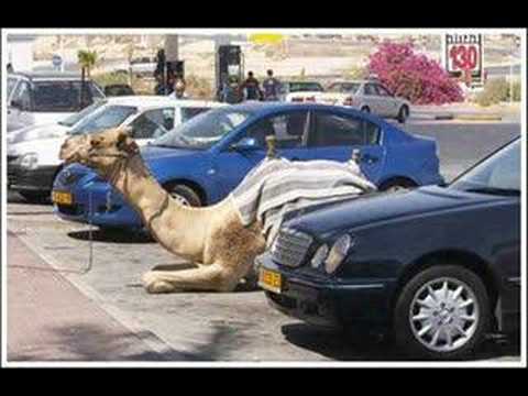 Bad drivers, strange accidents