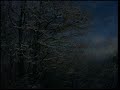 (test version)