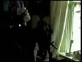 videos de Richard J Miller Studio Pt 1