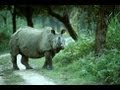 Assam- The Land of Nature's Treasure -(part 1 ...