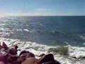 Abbot Point - 27/06/08 - AM2