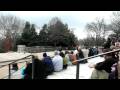 videos de Wlodarczyk Videos - 1