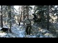 trailer til filmen tiurjakt av kristoffer clausen
