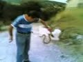 raffeale il dico ma con un serpente   parte seconda
