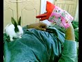 My Bunny gets it!!!!