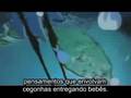 Sexpelled: Nenhuma Penetração Permitida