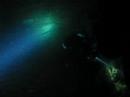 elefante bianco cave