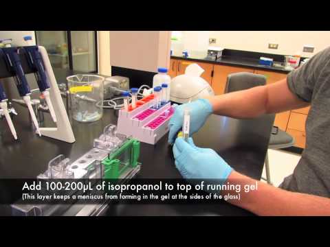 how to perform gel electrophoresis