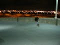 run gordo run run gordo run
