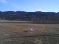 stripanov08.wmv