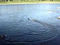 Homemade RC Boat with Rebuilt Brushless motor