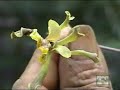 catemaco, naturaleza viva parte 1