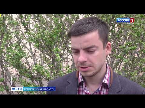 Просмотр видео Просмотр видео