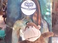 How to get your medical marijauna card with Mike the monkey