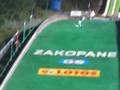 Roman Trofimov, SGP Zakopane 2008