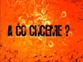 HT - hoten toten - hotentoten /celé/