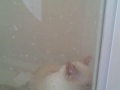 Lulu In the Shower
