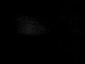 burzum-feeble-screams-from-forests-unknown-vic.html