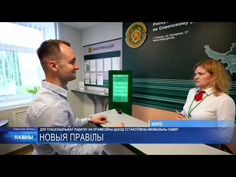 На Гомельщине выявили более 900 нарушений при уплате налога на профдоход видео